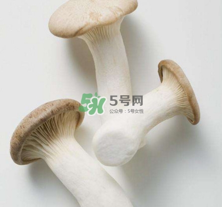 杏鮑菇用水焯嗎？杏鮑菇怎么做好吃