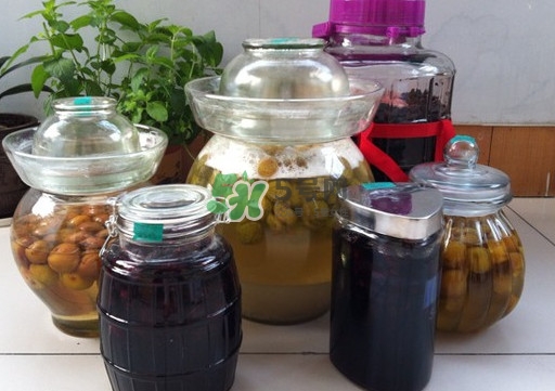 水果酵素是什么味道？水果酵素是酒嗎