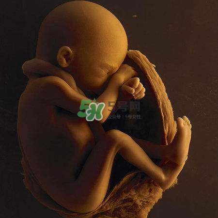 臍帶繞頸是什么意思？臍帶繞頸兩周怎么糾正？