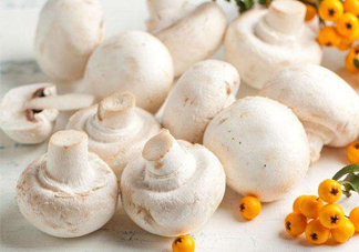 新鮮白蘑菇怎么做好吃？白蘑菇有什么好處