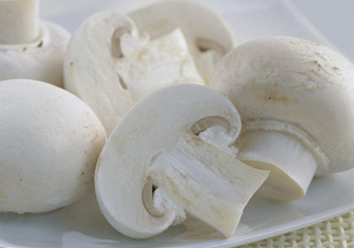 白蘑菇是什么蘑菇？白蘑菇有毒嗎