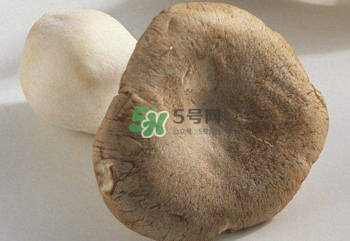 杏鮑菇用水焯嗎？杏鮑菇怎么做好吃