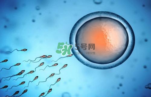 精子在女性體內可以存活多久？男性的精子會枯竭嗎？