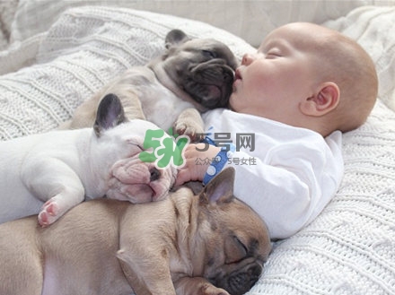 孕婦不能養(yǎng)寵物嗎？為什么孕婦不能養(yǎng)寵物？