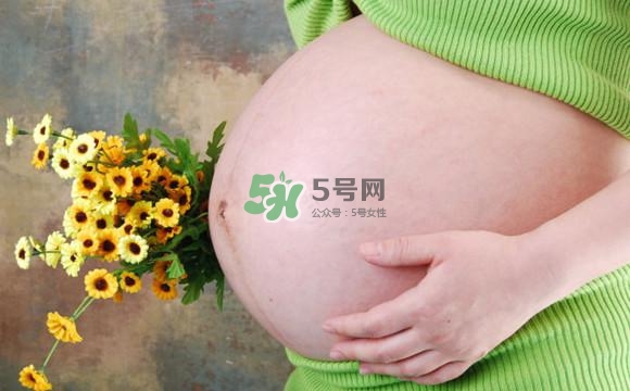 為什么孕婦的肚子有尖有圓？孕婦肚子尖圓對照圖