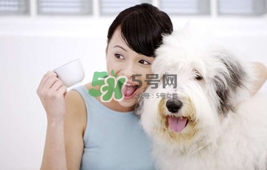 孕婦能養(yǎng)狗嗎？孕婦養(yǎng)狗注意事項(xiàng)