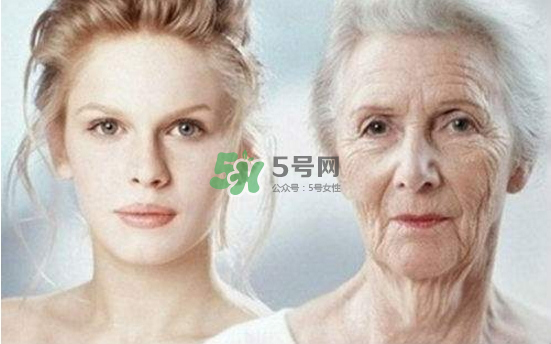 抗氧化是抗衰老嗎？抗氧化是不是就等于抗衰老？