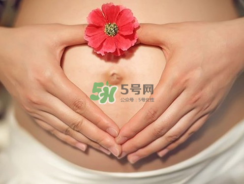 秋天孕婦可以吃絲瓜嗎？秋天孕婦吃絲瓜好嗎？