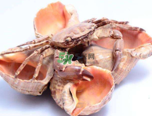 螃蟹殼里的東西是什么？螃蟹殼里什么不能吃？
