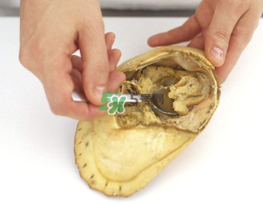 螃蟹殼里的東西是什么？螃蟹殼里什么不能吃？