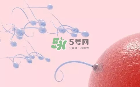 精子在女性體內可以存活多久？男性的精子會枯竭嗎？