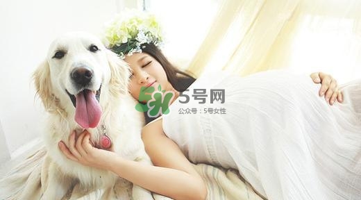 孕婦不能養(yǎng)寵物嗎？為什么孕婦不能養(yǎng)寵物？