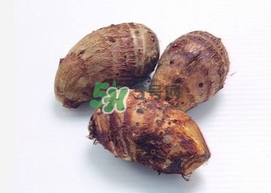 香芋如何種植？香芋的種植方法