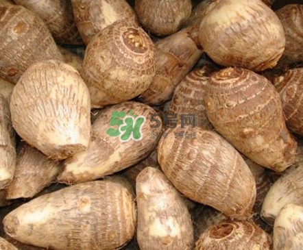 香芋如何種植？香芋的種植方法