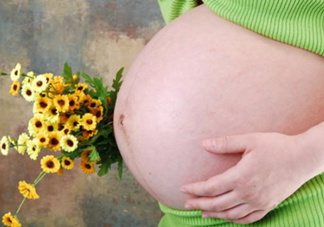 為什么孕婦的肚子有尖有圓？孕婦肚子尖圓對照圖