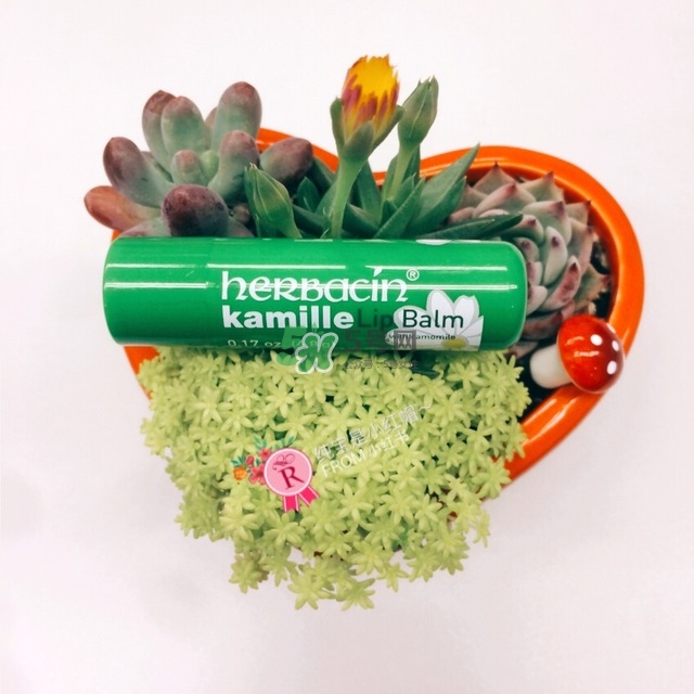 潤唇膏哪個(gè)牌子好 你想要的都在這里