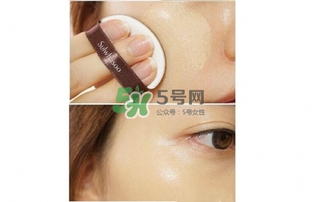 雪花秀采淡致美氣墊粉底液應該買什么色號 雪花秀采淡致美氣墊粉底液應該買什么色號