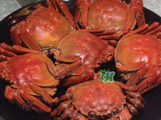 盤錦河蟹批發(fā)市場在哪？盤錦河蟹哪里最正宗？