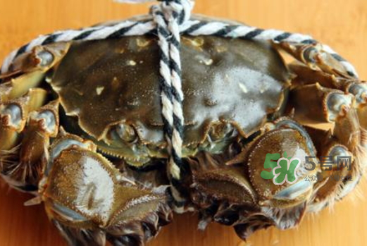 大閘蟹為什么要綁？大閘蟹怎么捆？