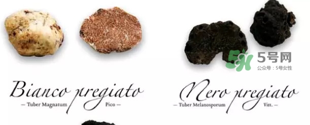 世界上評價較高的松露品種是什么？白松露和黑松露哪個好