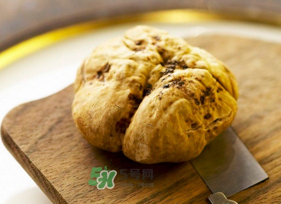 中國哪里有白松露？黑松露和白松露哪個貴？