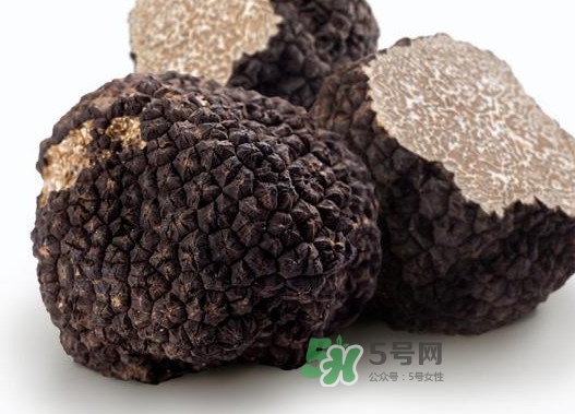 松露是什么樣子的？松露是怎么形成的