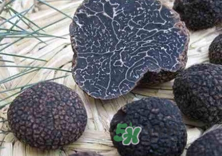 松露為什么那么貴？松露為什么這么貴？