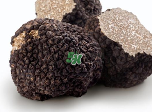 松露是什么味道？松露到底有多好吃