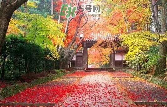 白露是寒露嗎？白露和寒露的區(qū)別