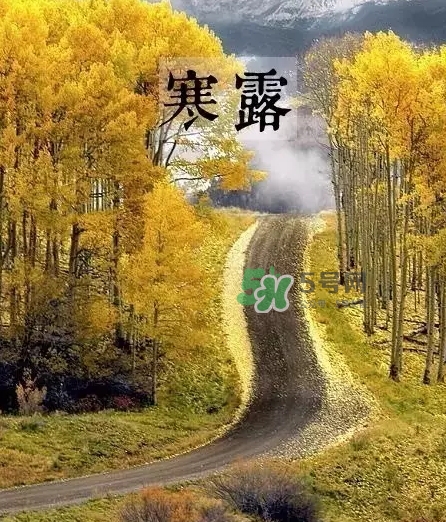 白露是寒露嗎？白露和寒露的區(qū)別