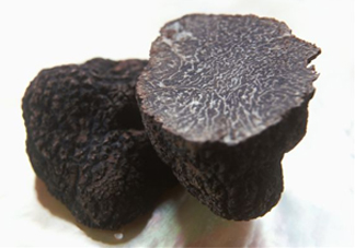 松露為什么那么貴？松露為什么這么貴？