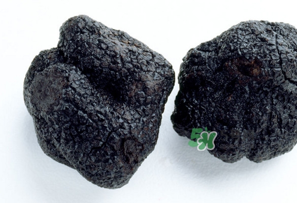 世界上評價較高的松露品種是什么？白松露和黑松露哪個好