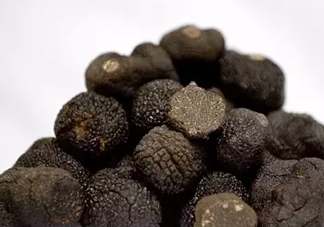 世界最大的松露是在哪個(gè)國(guó)家發(fā)現(xiàn)的？松露怎么吃