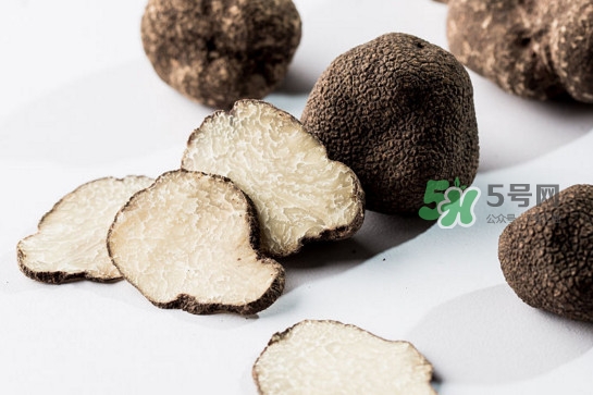 松露產(chǎn)地在哪里？松露有什么作用