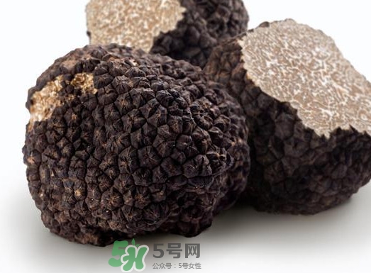 松露產(chǎn)地在哪里？松露有什么作用