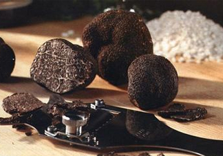 松露是保健品嗎？松露怎么保存