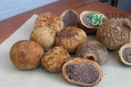 松露是保健品嗎？松露怎么保存