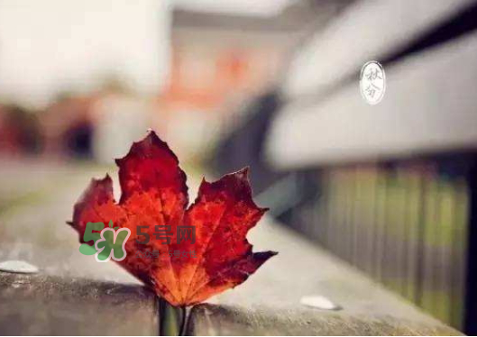 2017秋分還熱嗎？2017年秋分以后還熱嗎？