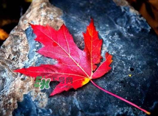 2017秋分還熱嗎？2017年秋分以后還熱嗎？