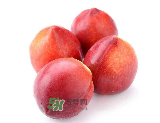 九月份還有桃子嗎？9月份成熟的桃子有幾種？