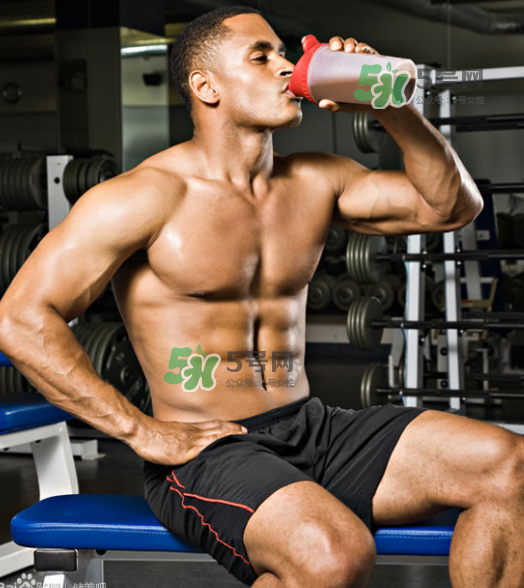 練肌肉一定要吃蛋白粉嗎？健身一定要吃蛋白粉嗎？