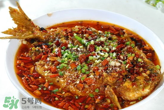 黑魚能愈合傷口嗎？黑魚為什么對(duì)傷口愈合？