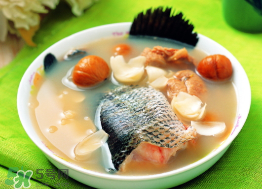 黑魚能愈合傷口嗎？黑魚為什么對(duì)傷口愈合？