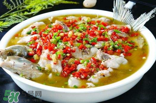 鯉魚(yú)可以做水煮魚(yú)嗎？水煮鯉魚(yú)的做法