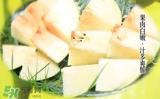 綠寶石梨多少錢一斤？綠寶石梨價格表