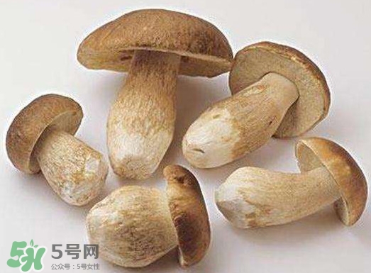 牛肝菌要泡發(fā)多久？牛肝菌怎么清洗