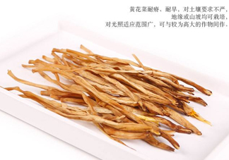 新鮮黃花菜怎么保存？干黃花菜怎么保存