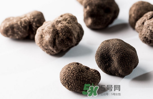 松露對女人有什么好處？松露對男人有什么好處