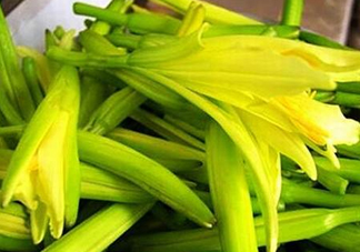 黃花菜開(kāi)花了還能吃嗎？開(kāi)花的黃花菜可以吃嗎