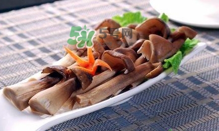 雞樅菌和松茸哪個(gè)更好？雞樅菌有什么營(yíng)養(yǎng)